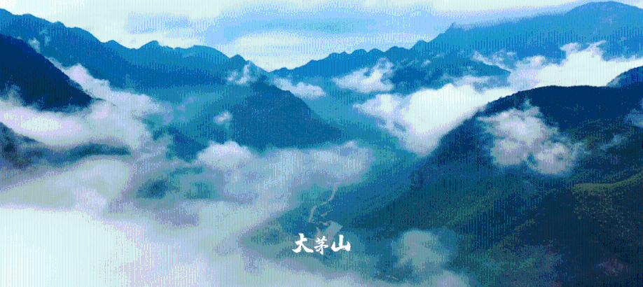 为什么有些国家要把黄金存在美国?- 专业的问答类网站